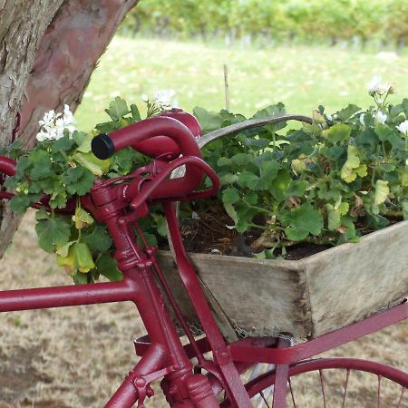 L'Alambic De L'Estuaire Bed & Breakfast Saint-Fort-sur-Gironde Exterior foto